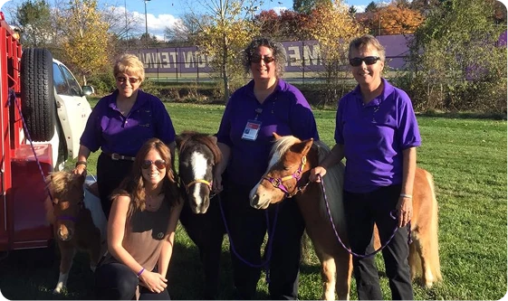 ALM Handlers with Mini Horses