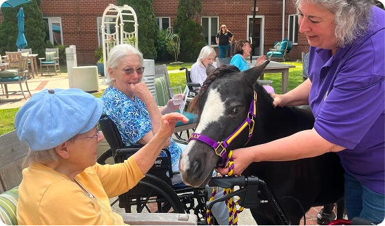 Cheryl with Mini Horse and Seniors