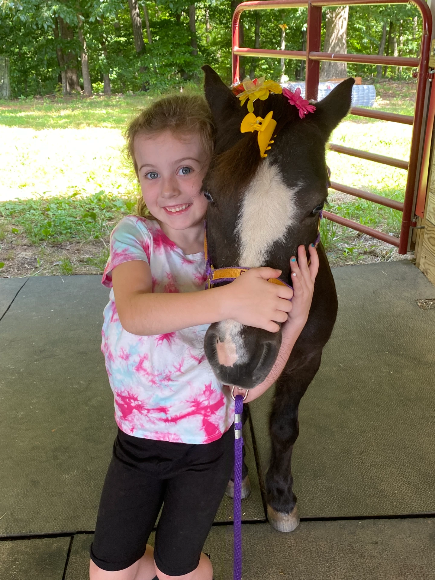 Miniature horse in action 4