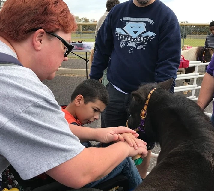 Mini horse visit at community event