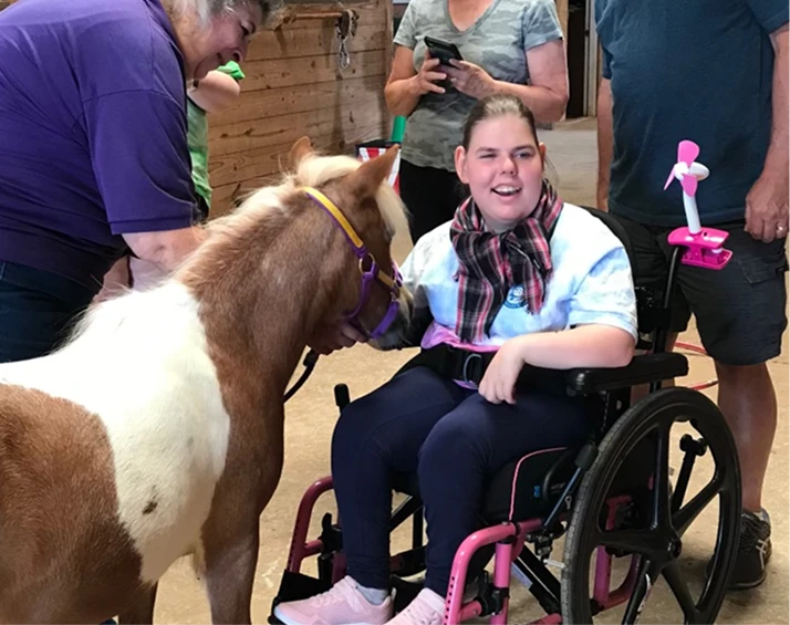 Mini horse visit at special needs camp