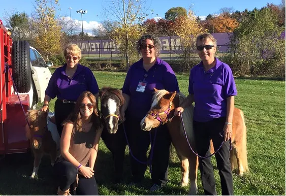 Mini horse with child at JMU Visit