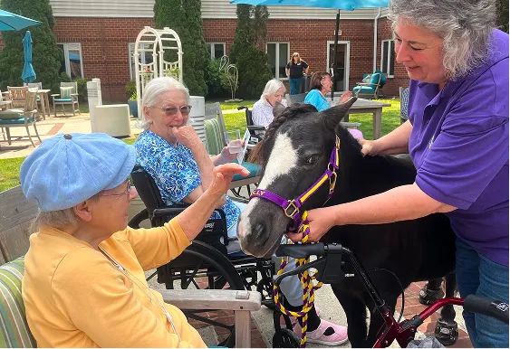 Mini horse with child at Nursing Homes and Rehabs