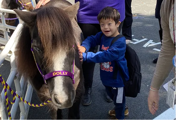 CES School Visit with Mini Horses