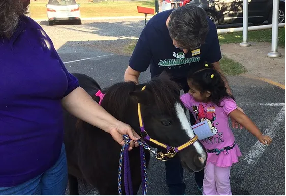 FES School Visit with Mini Horses