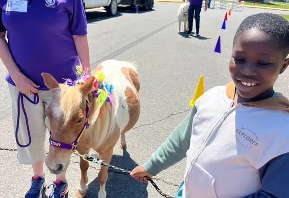 JWAES School Visit with Mini Horses