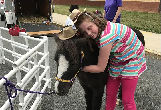YES School Visit with Mini Horses