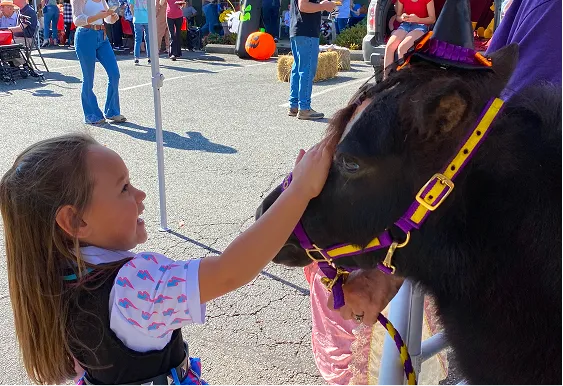 Mini horse with child at The Harbor Family Fall Festival