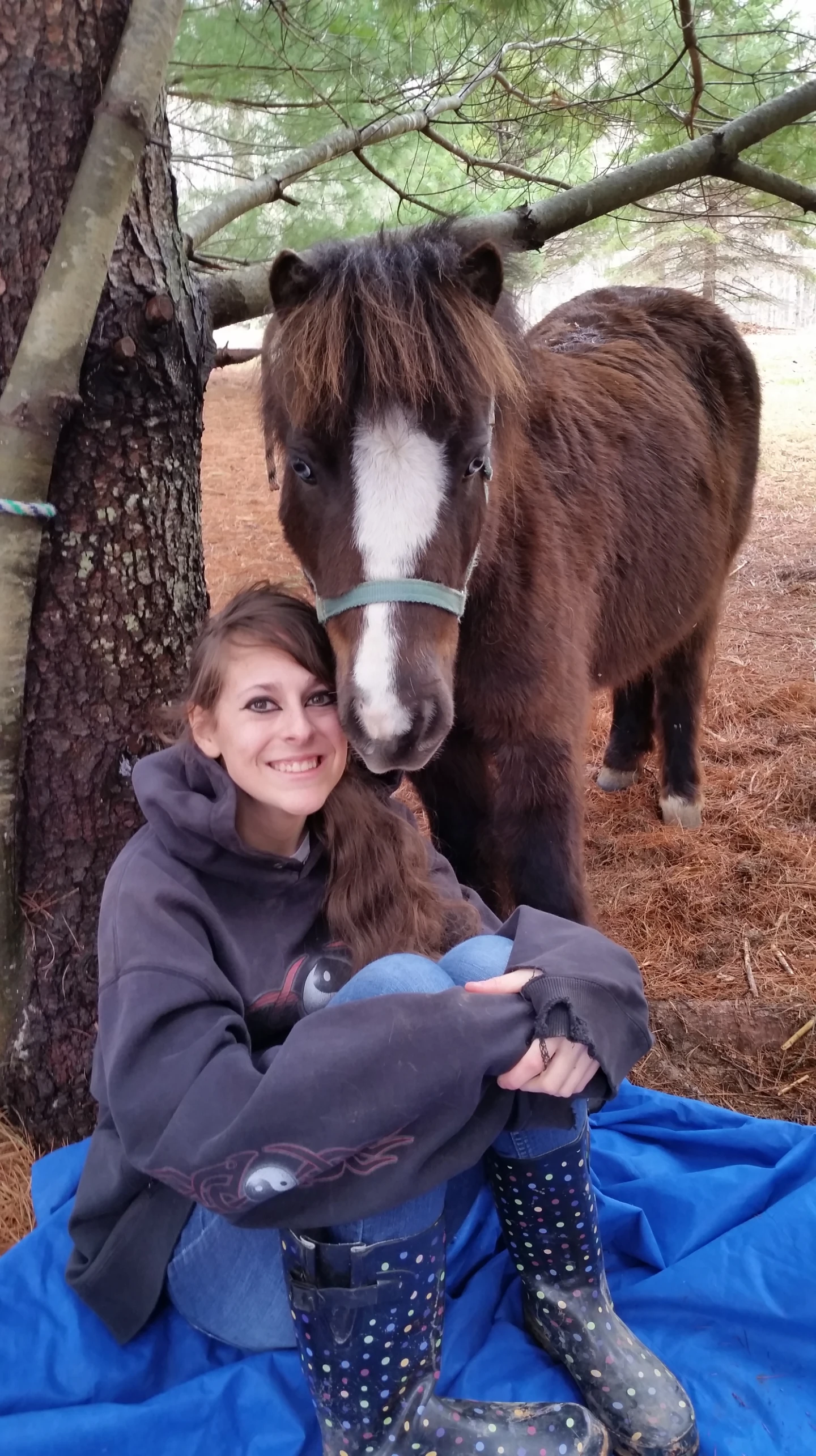 Mini horse - Dolly 11