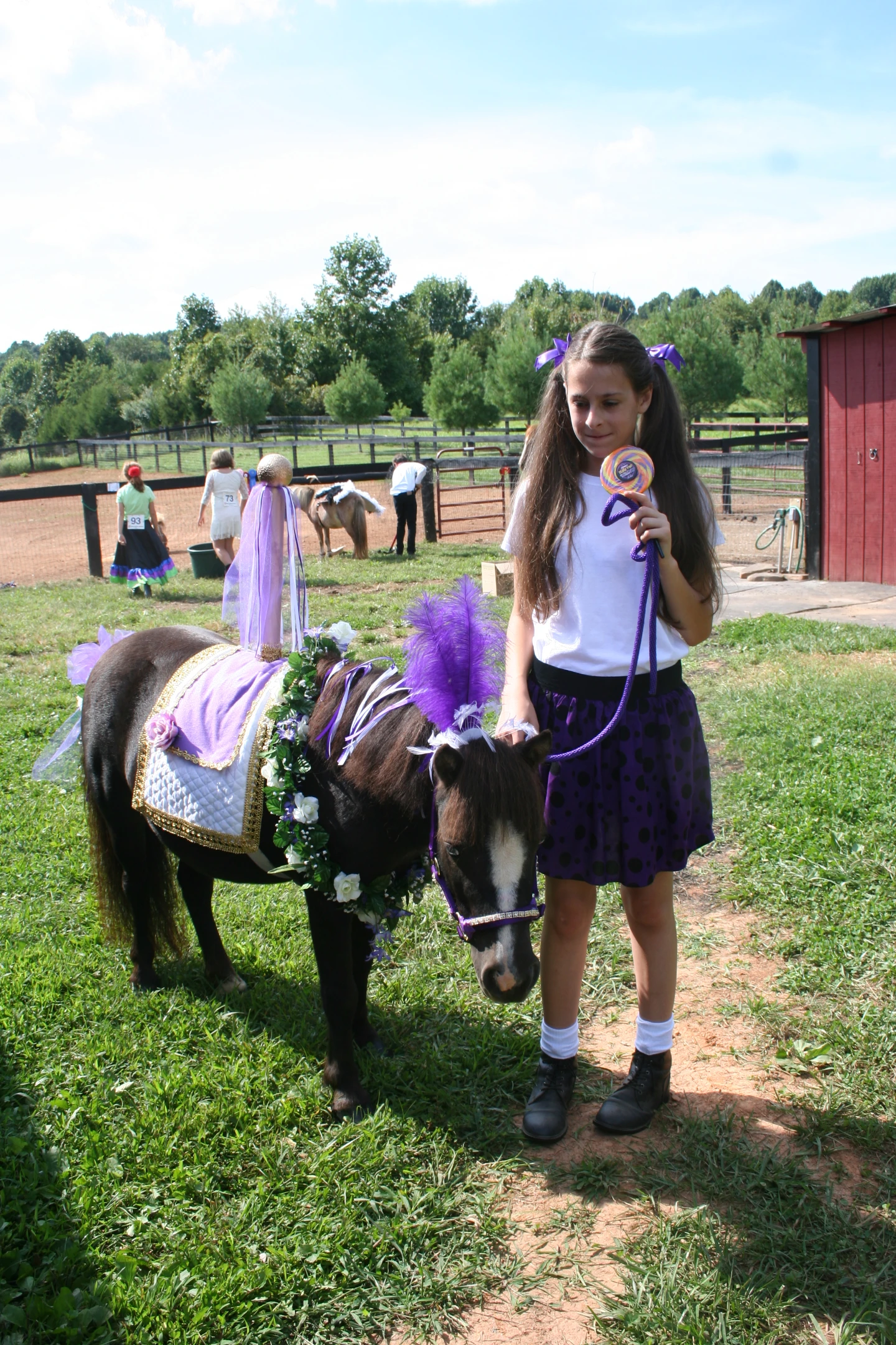 Mini horse - Dolly 6