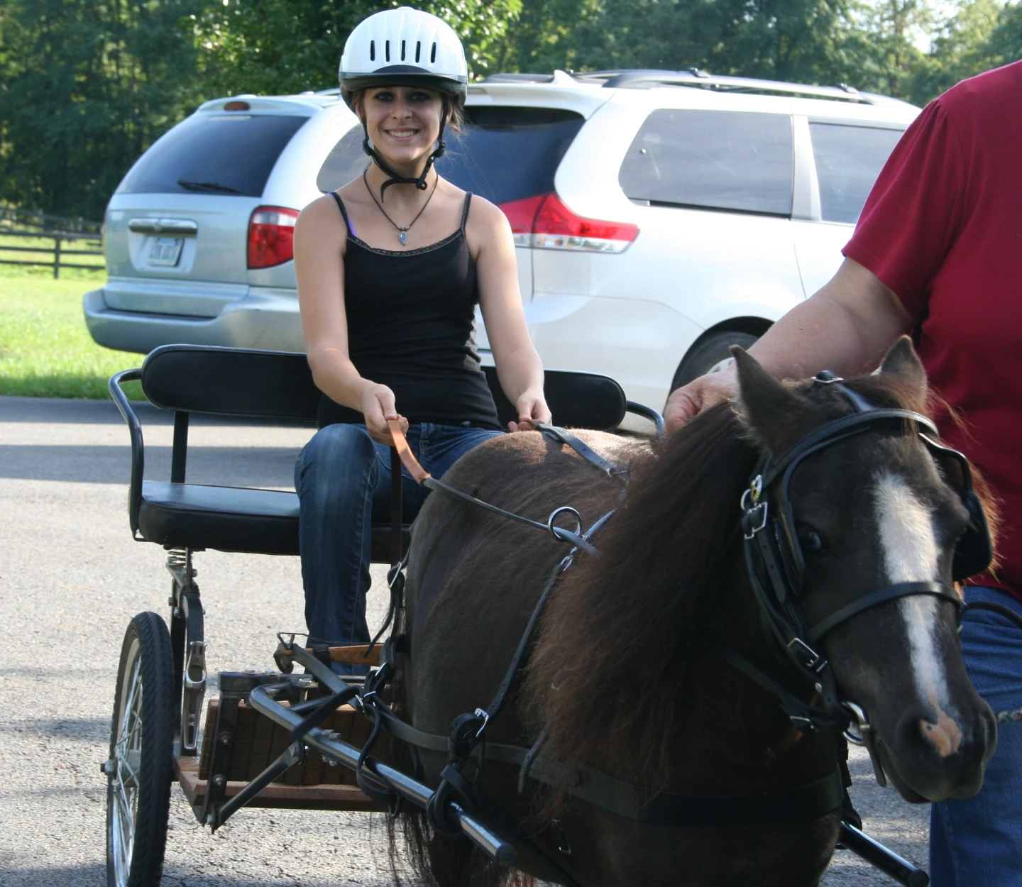 Mini horse - Dolly 7